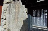 太郎山から掘り出した大石の写真です